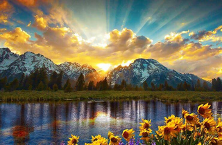a body of water surrounded by trees jigsaw puzzle