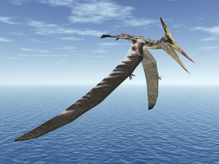 a bird flying over a body of water jigsaw puzzle