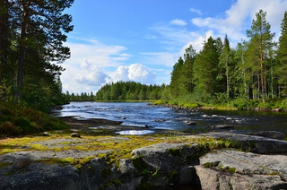 a river running through a body of water jigsaw puzzle
