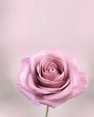 a close up of a flower jigsaw puzzle