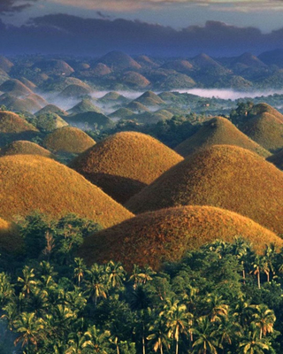 a herd of animals standing on top of Chocolate Hills jigsaw puzzle