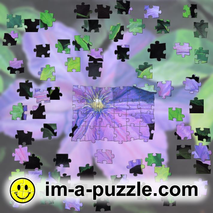 Look, I'm a puzzle 15846 jigsaw puzzle