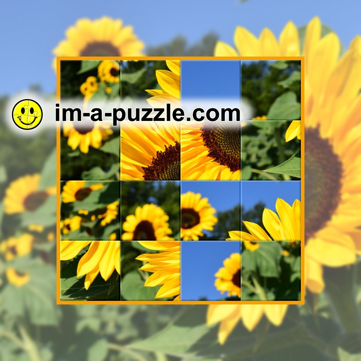 Look, I'm a puzzle jigsaw puzzle